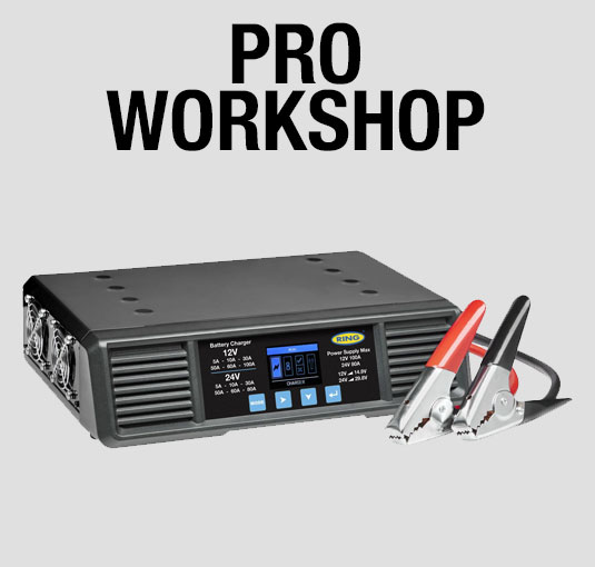 Pro Workshop